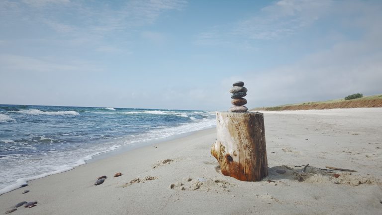 sarune-sedereviciute-cB7qXxUN344-unsplash